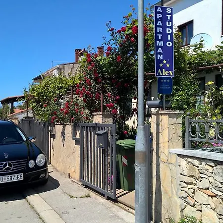 亚历克斯公寓酒店 罗维尼